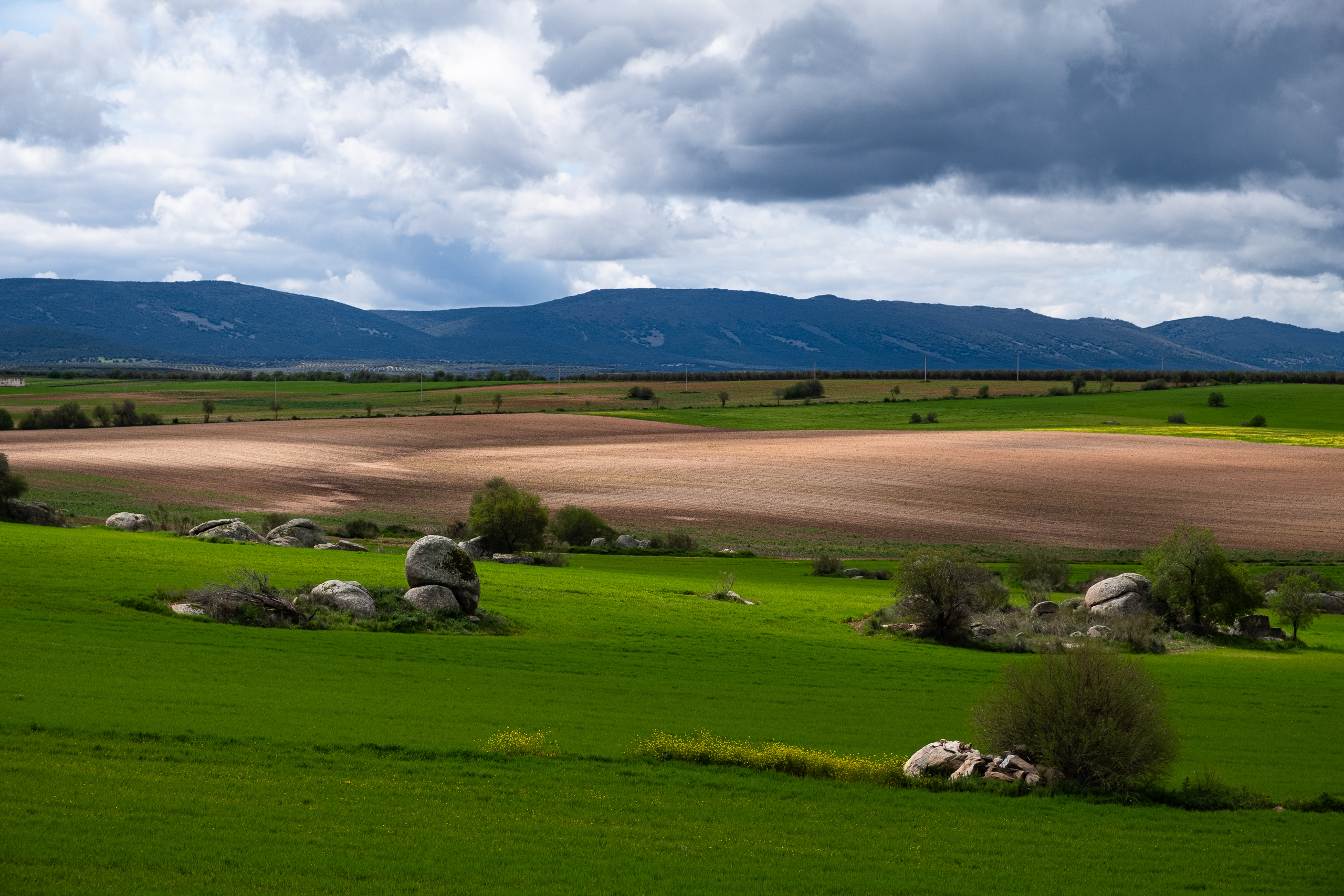 Weite Felder mit verstreuten Felsbrocken – Berge im Hintergrund